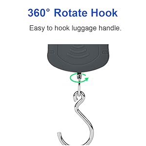 hanging hook scale