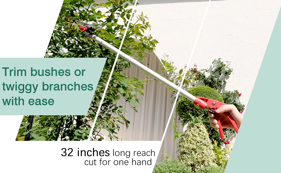 Long reach pruner