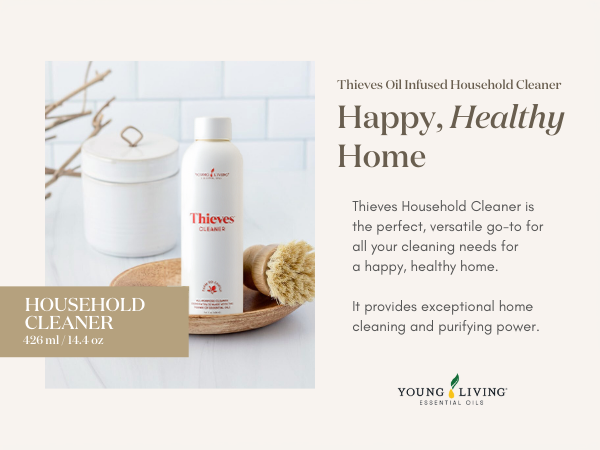 toilet cleaner stainless steel cleaner shower cleaner glass cleaner window cleaner floor cleaner