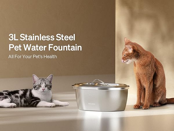 Cat water fountain