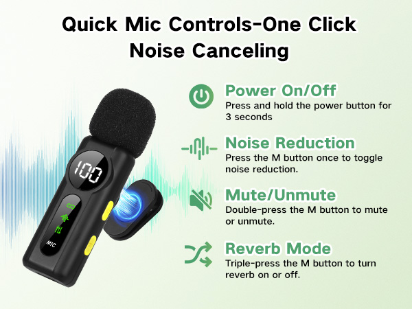 mic