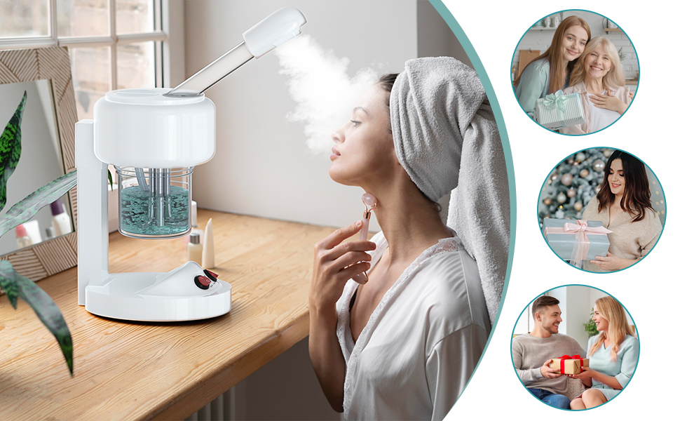 face steamer