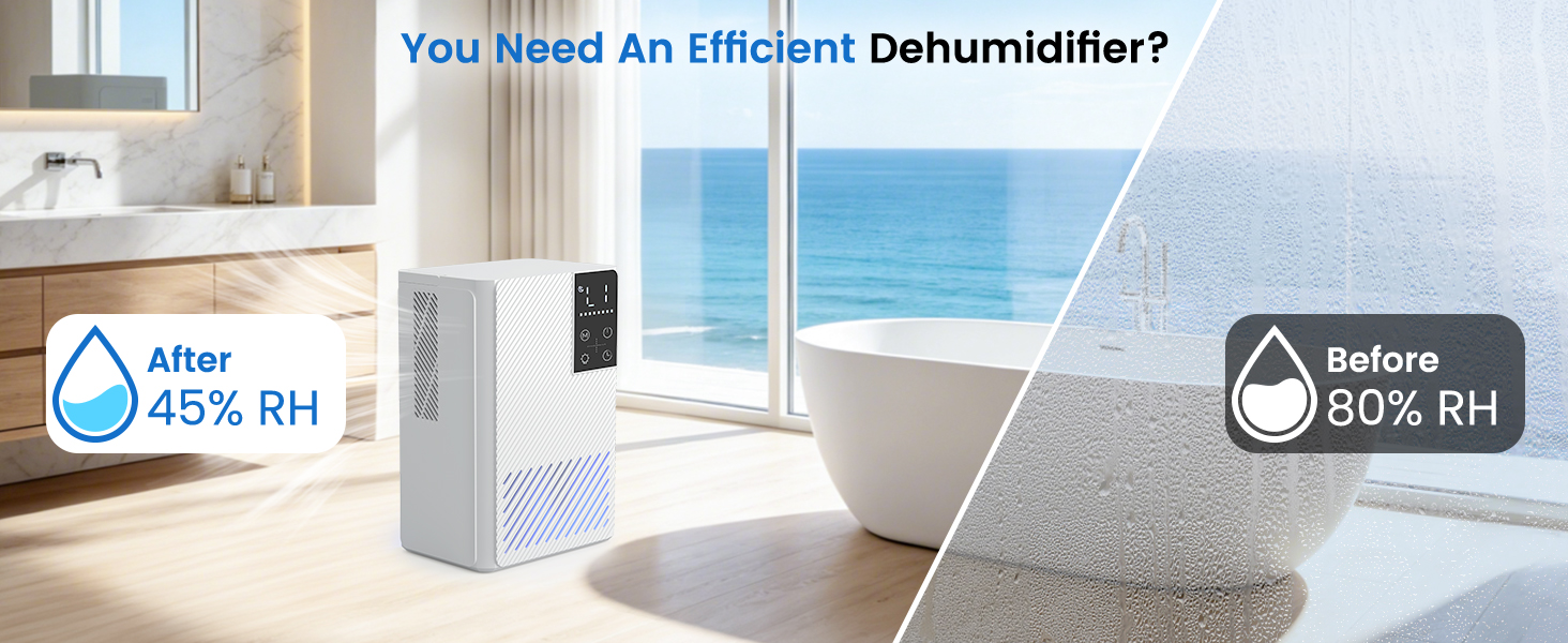 dehumidifiers for home