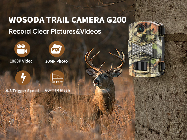 trail cam