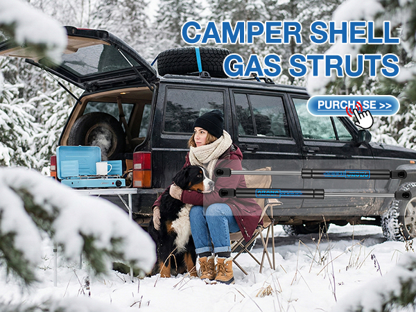 arana gas shocks