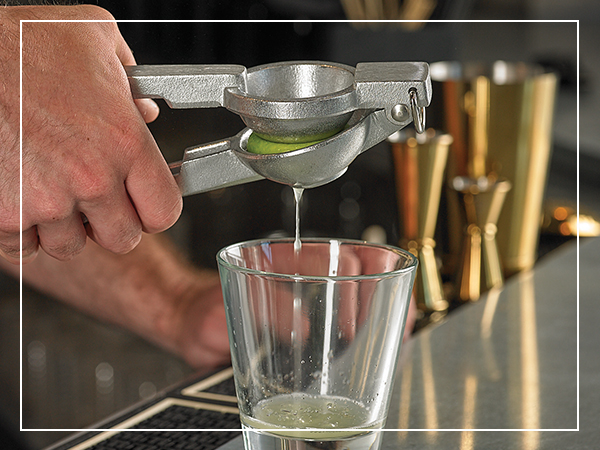 Citrus Juicer