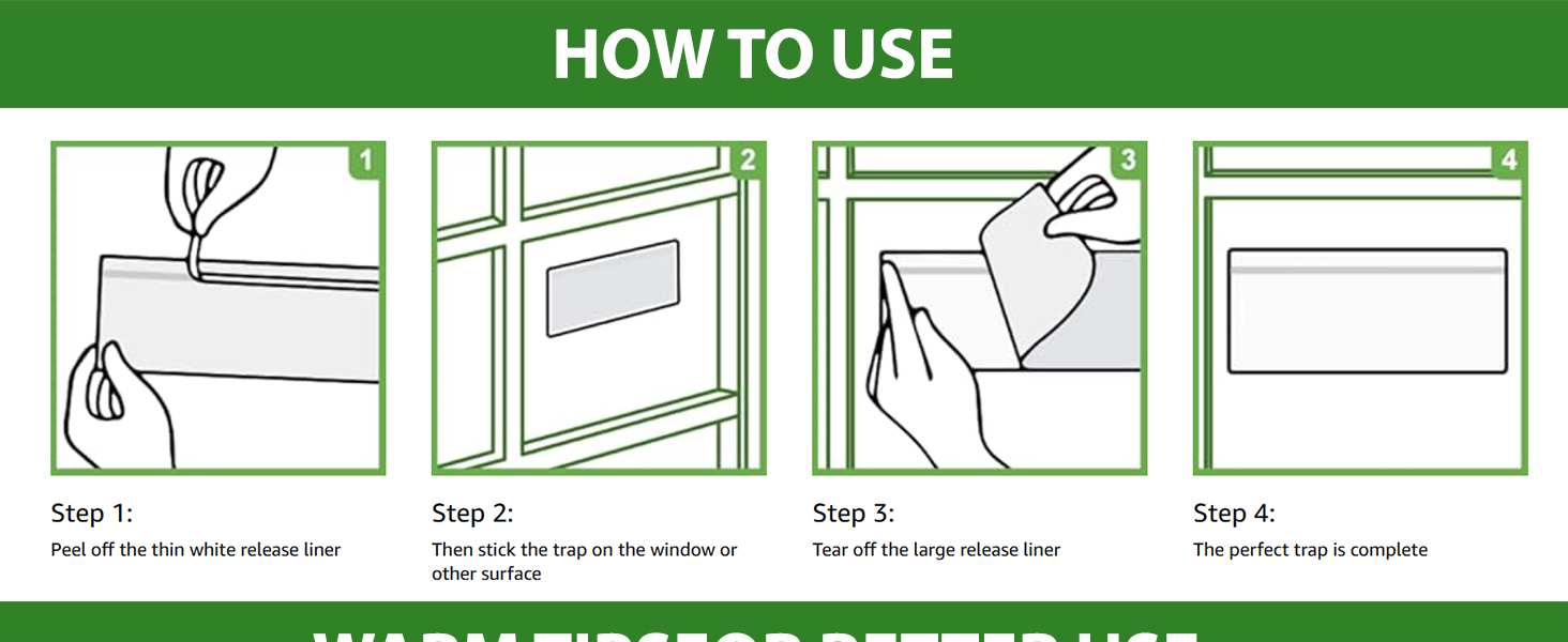 Window fly trap