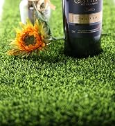 grass