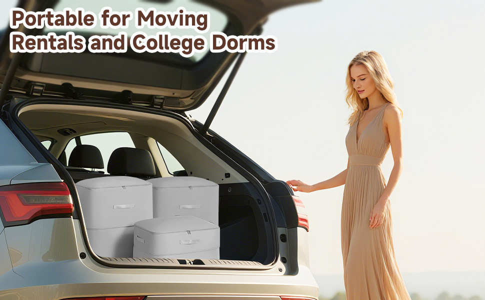 anti-dust garment storage box with dual zipper closure