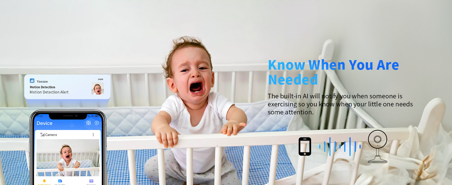 Indoor Security Cameras