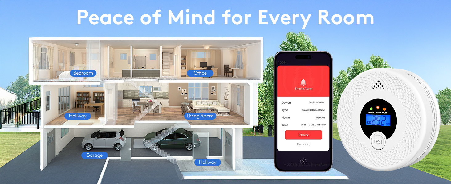 carbon monoxide detectors