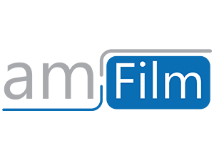 amFilm OneTouch iPhone 2024 6.1&amp;amp;#34; screen protector