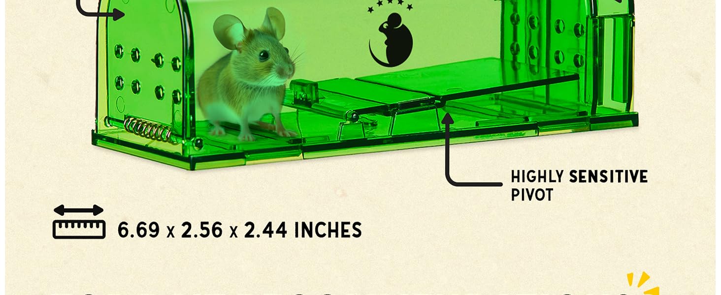 Humane Mouse Traps