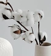 Onaboviva aroma diffuser