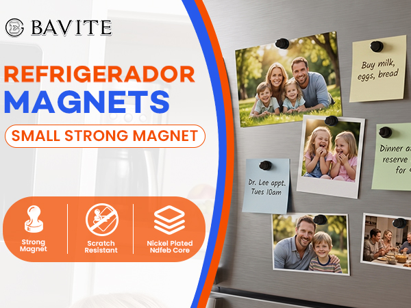 Fridge Magnets