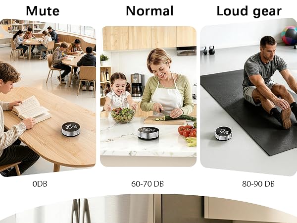 Volume gears: 1) Mute 0db 2) Normal 60-70db 3) Loud gear 80-90db