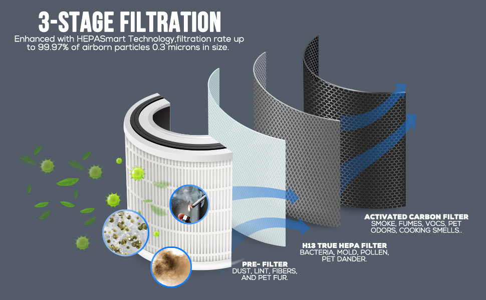 Air Purifiers Bedroom Home HEPA Filter Cleaner Filters Smoke Dander Odor Dust Office Desktop