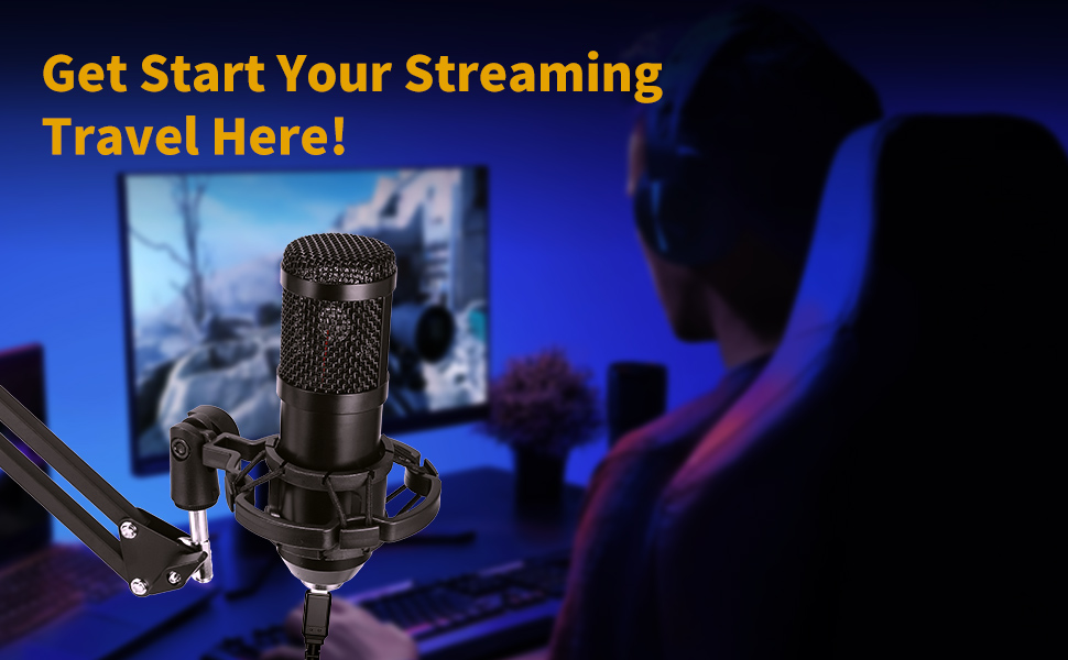 microphone for singing