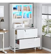 SEDETA 2 Drawer File Cabinet with Lock, Charging Station and Bookshelf, Filing Cabinet Fits Lette...