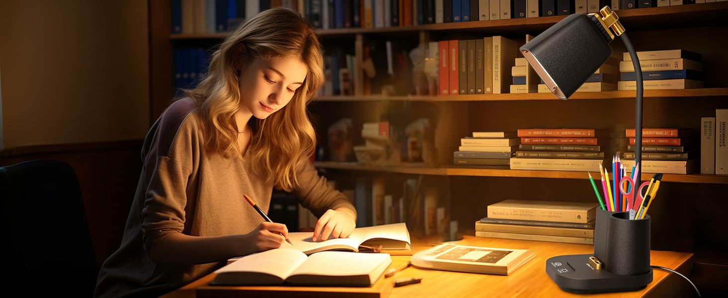 LED Desk Lamp