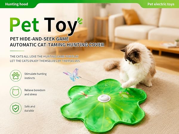 Pet toy