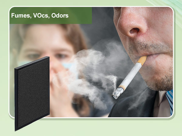 air purifier