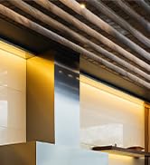 DAYBETTER COB LED Strip Lights, Tunable White(2700K-6500K) COB LED Lights with 3040 LEDs, RF Remo...