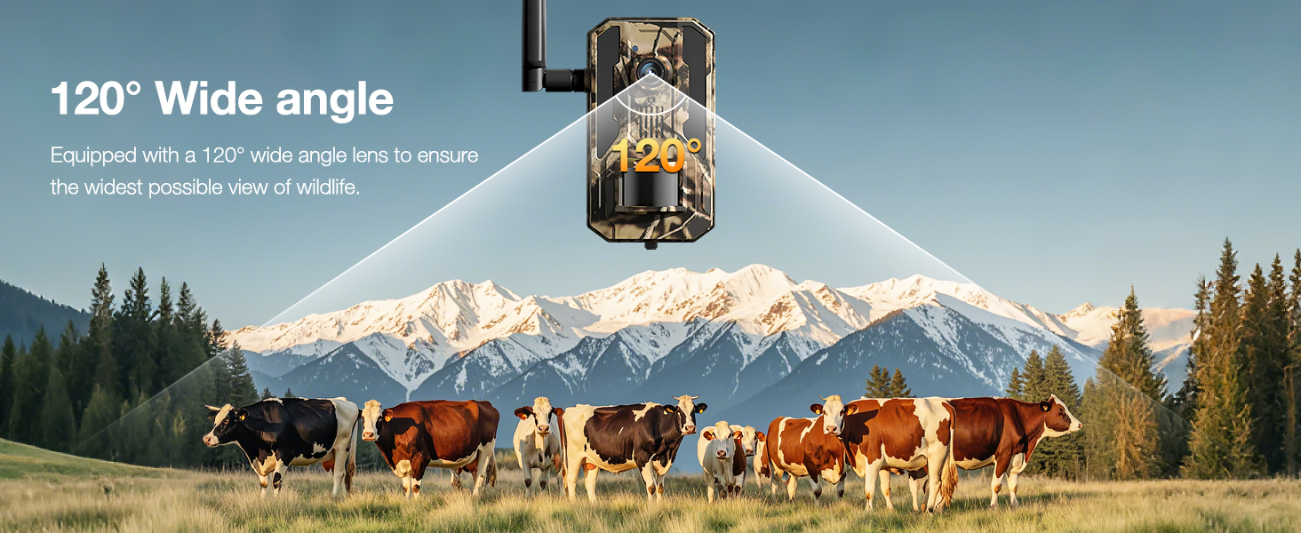 celluar trail cameras