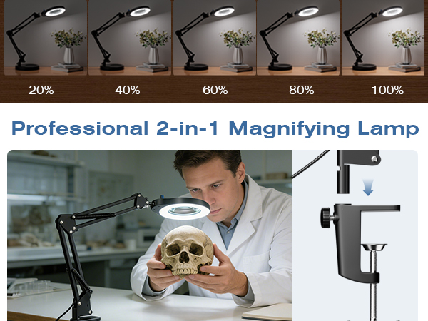 Professional 2-in-1 Magnifying Lamp