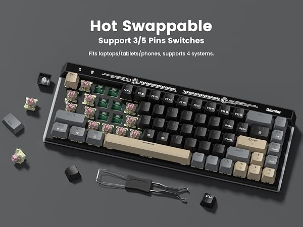 Hot-Swappable Switches