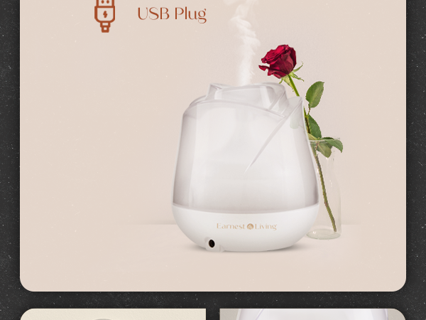 Earnest Living Rose Diffuser