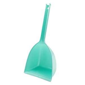 dustpan