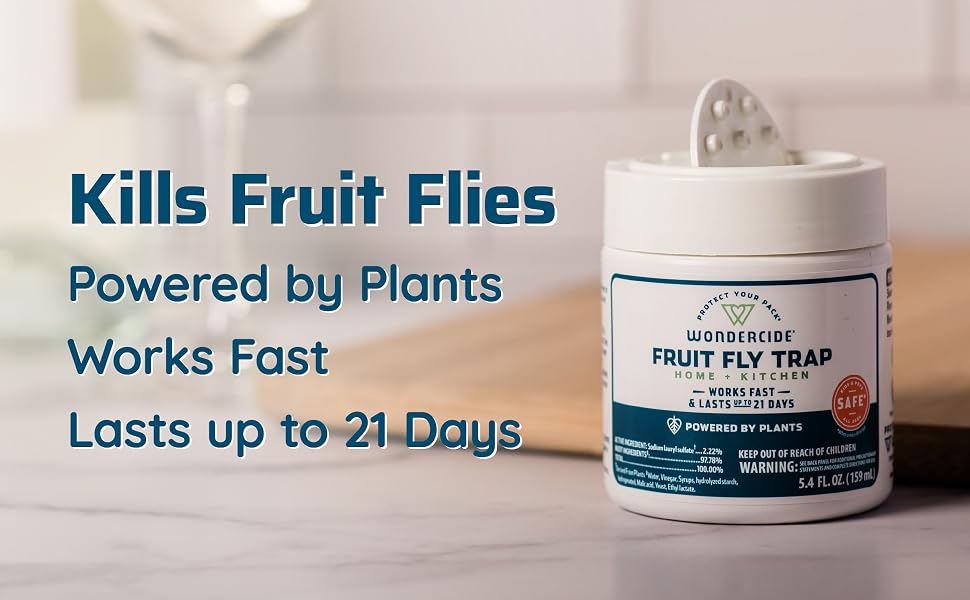 Wonder side plant natural fruit flies killer trap sticky kitchen fast