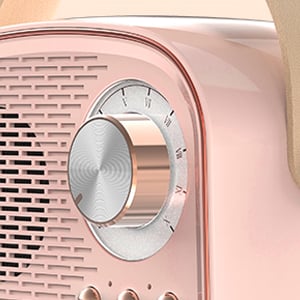 Compound type baking paint