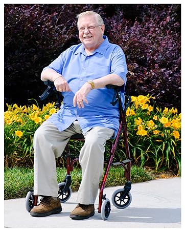 rollator, lumex, mobility