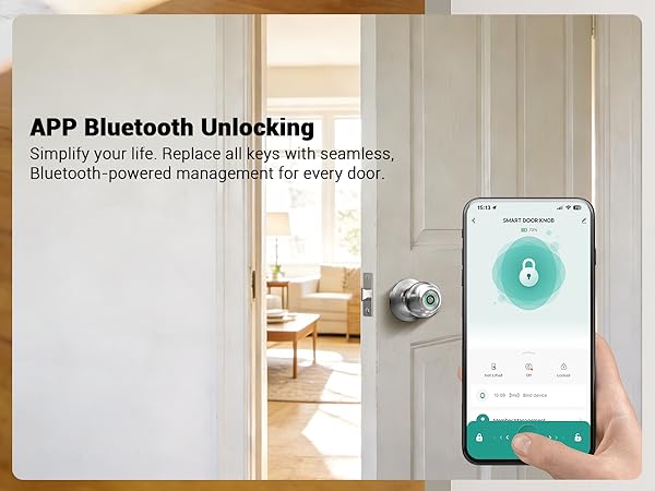 keyless entry door lock