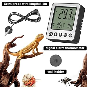 reptile thermometer