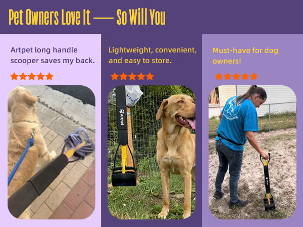 dog potty pick up