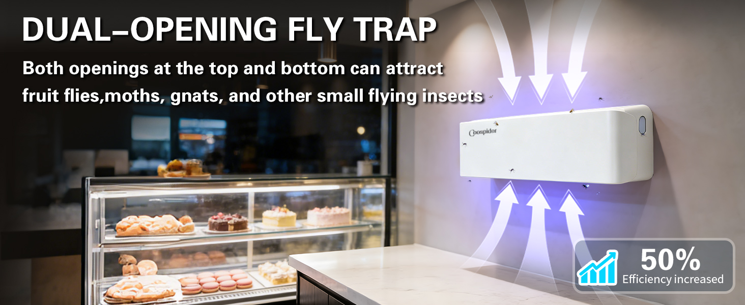Fly Trap Indoor