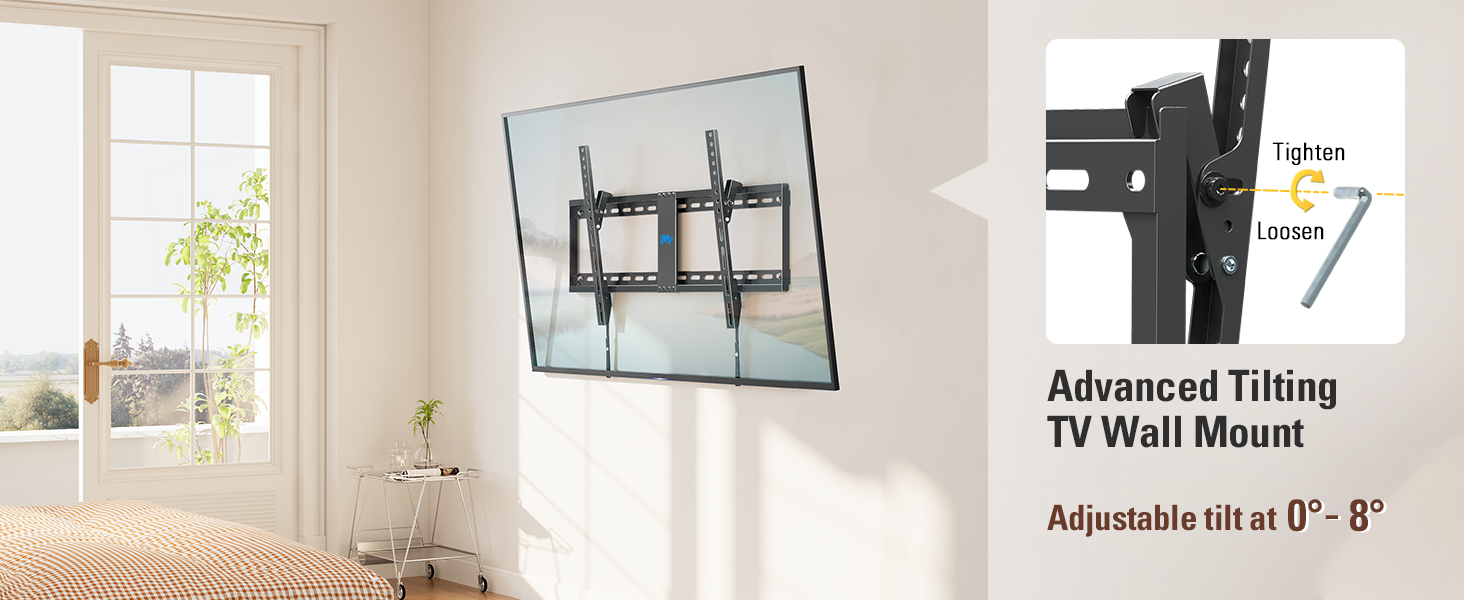 TV MOUNT