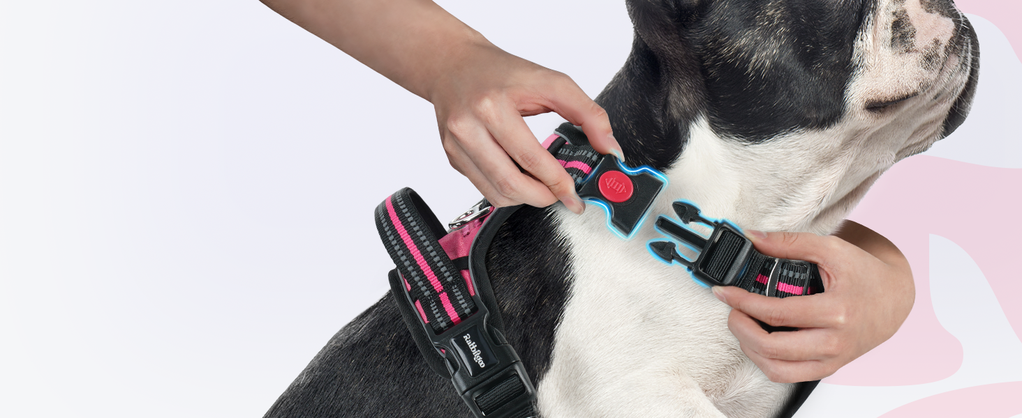 dog harness