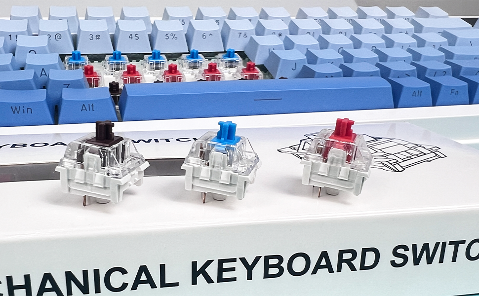 Classic Switch for Mechanical Gaming Keyboard