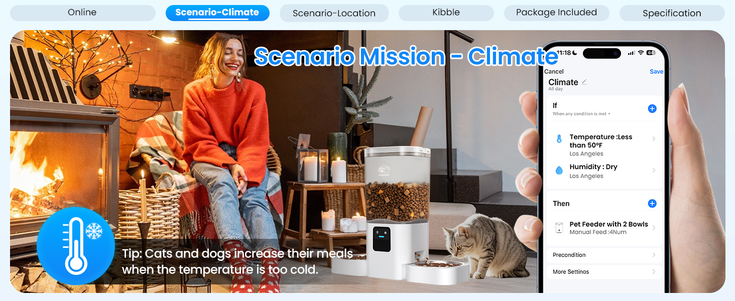 automatic cat feeders 2 cat