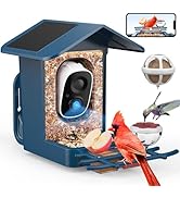 PeckCam Bird Feeder with Camera Solar Powered, AI Identify &amp; Auto Capture, 2K HD Live Video Smar...