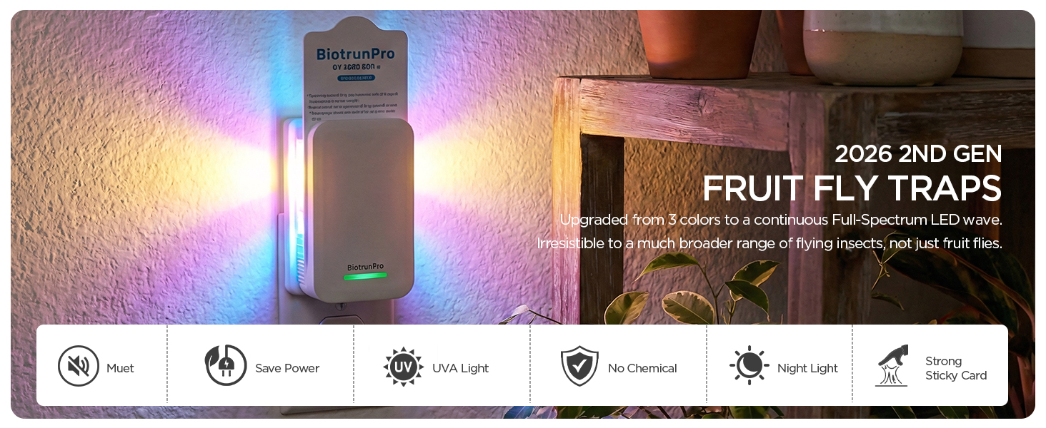 fly killer gnat killer plug in best safe electric flying insect trap fruit fly bug blue UV light