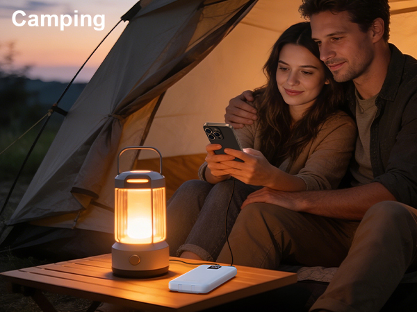 Portable Charger