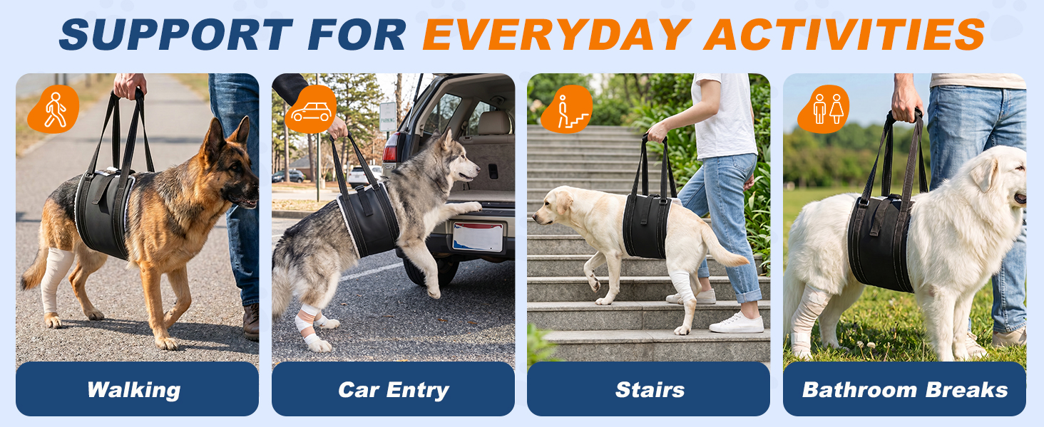dog harness for large dogs
