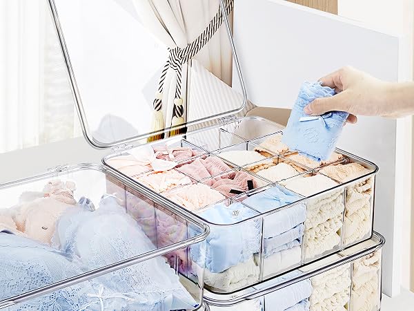 Underwear Organizer