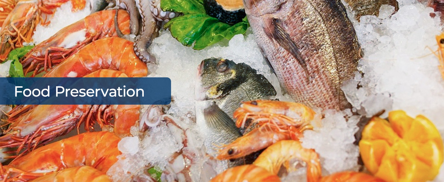 Bullet ice can be used to preserve seafood