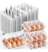 APOCHON 60 Pack Plastic Egg Cartons Cheap Bulk, One Dozen Clear Empty Egg Cartons for Chicken Egg...
